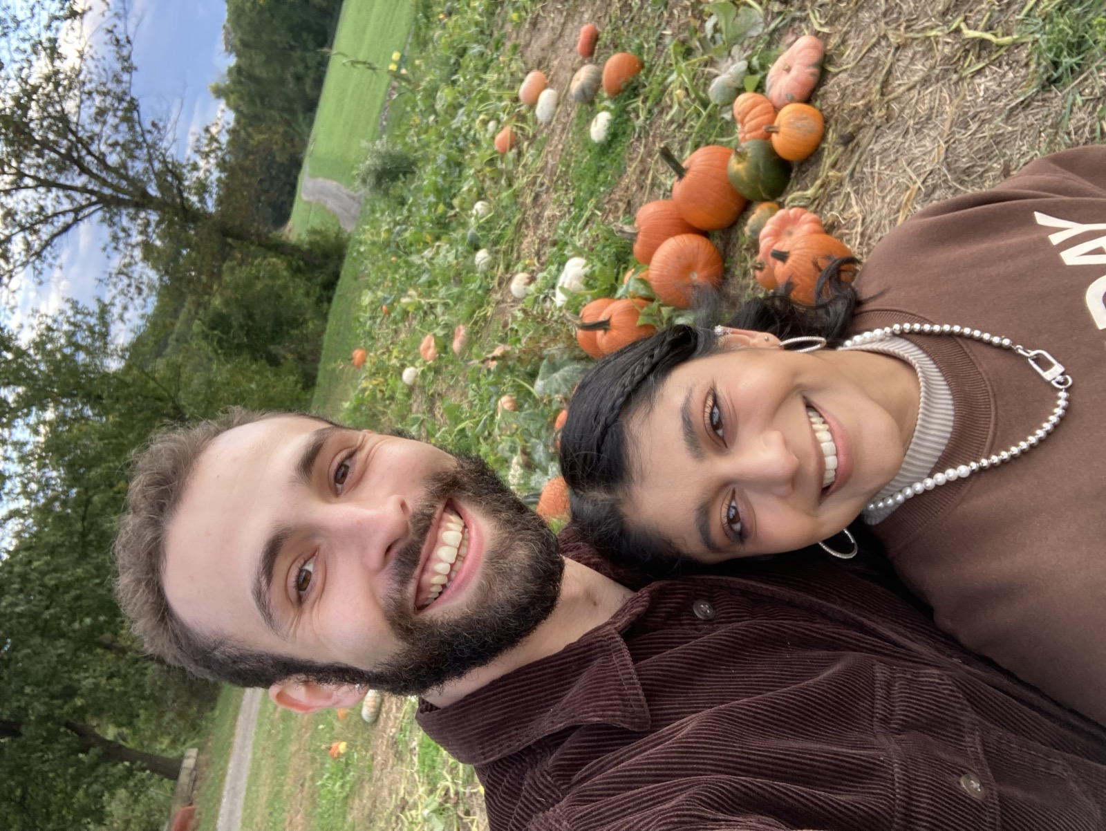 Pumpkin patch