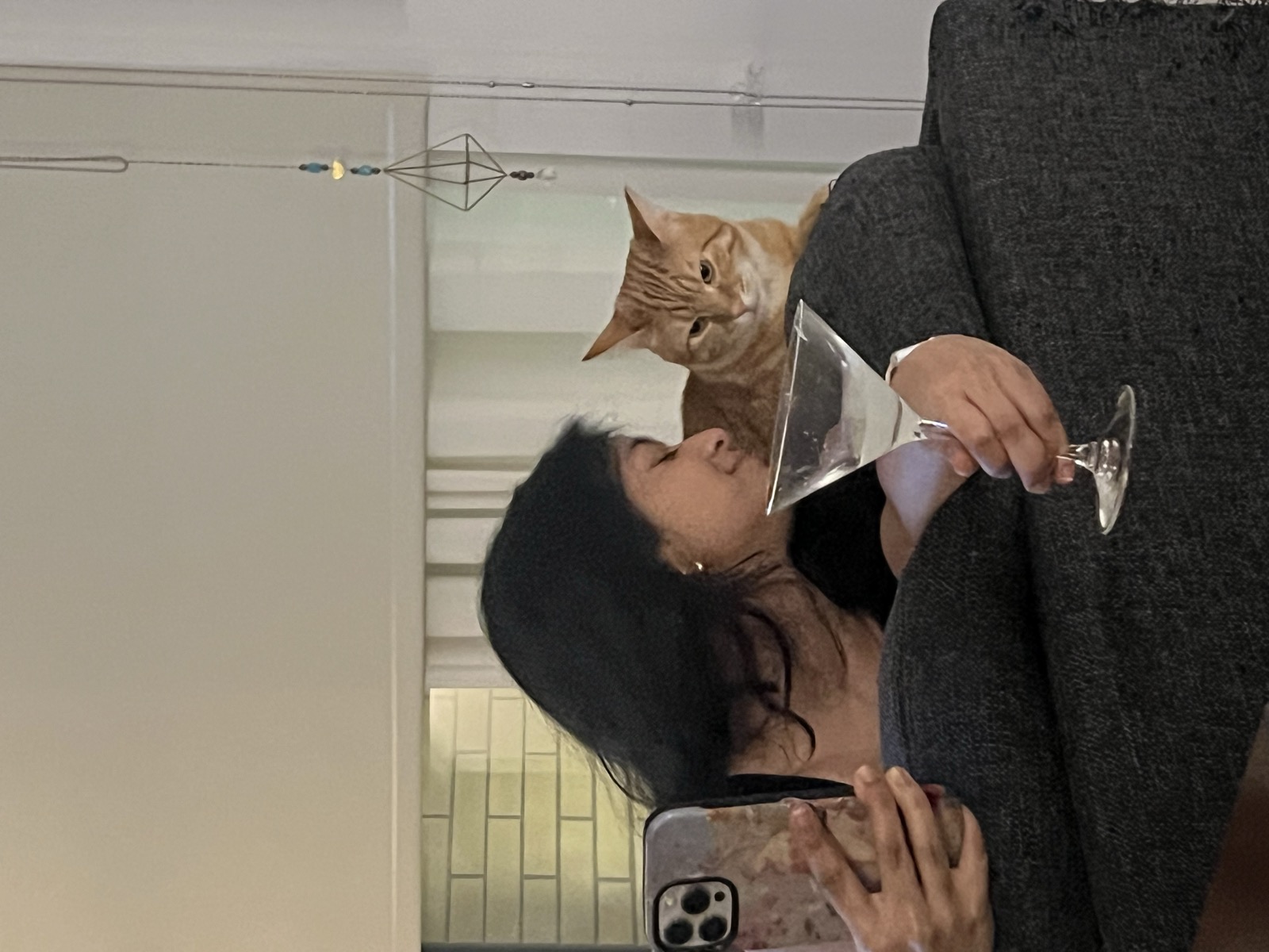 Sebastian the sophisticat