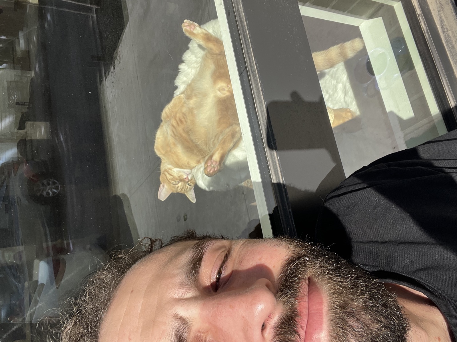 Sebastian napping buddy