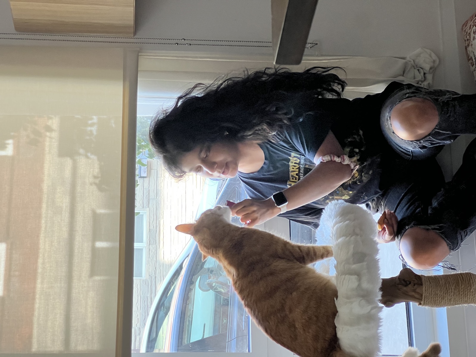 Sebastian getting head scratches