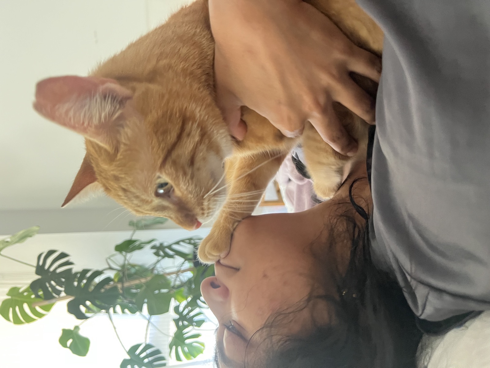 Sebastian on shoulder