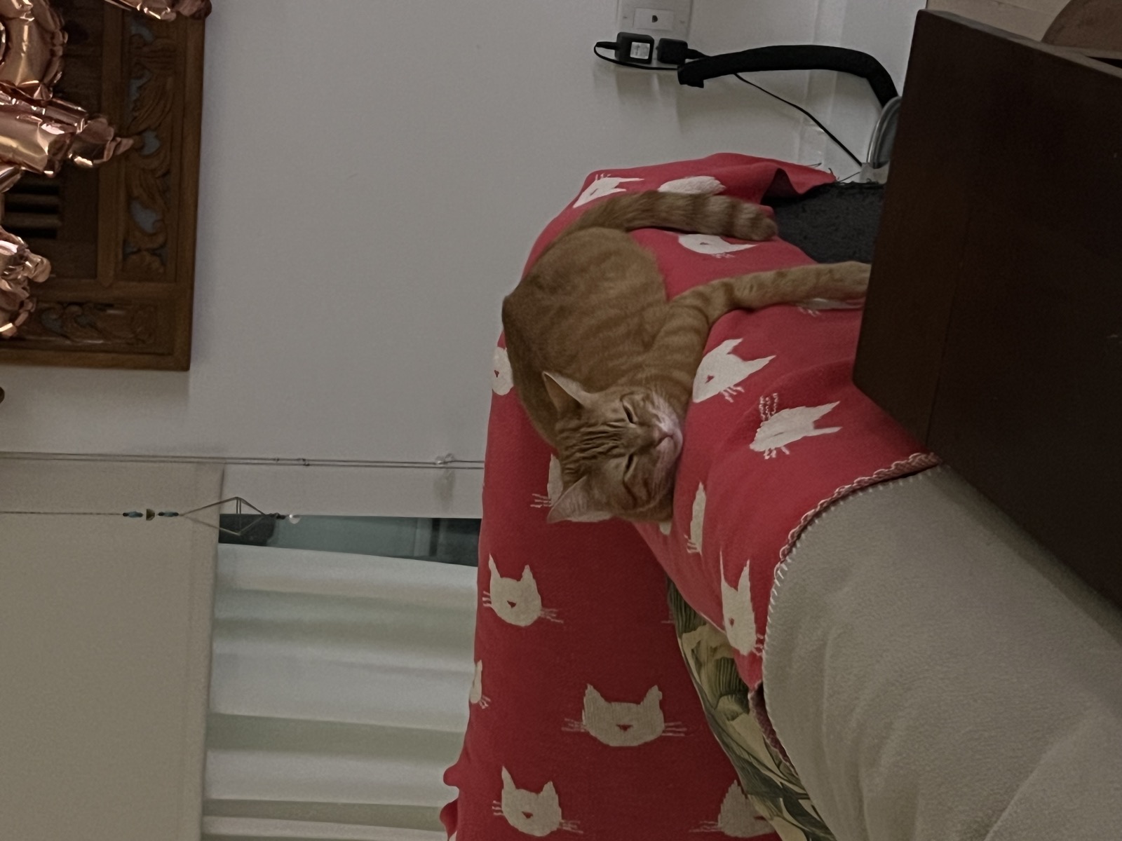 Sebastian napping on cat blanket